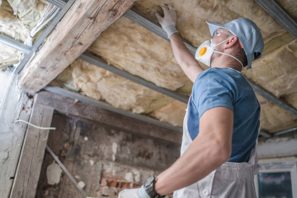 Best Cellulose Insulation  in Farmington, NM