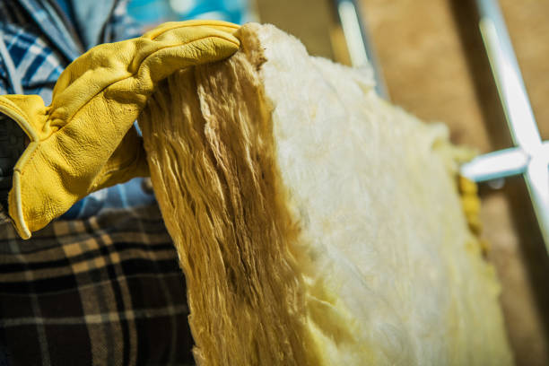 Best Attic Insulation Installation  in Farmington, NM