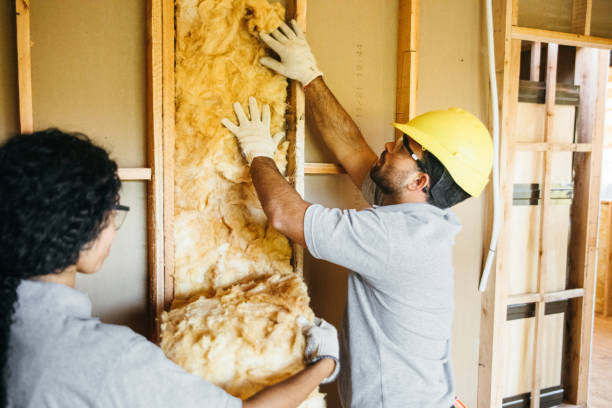 Professional Insulation Contractor in Farmington, NM