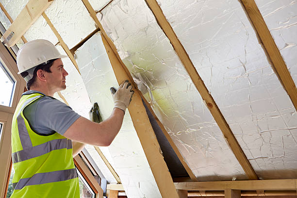 Best Spray Foam Insulation  in Farmington, NM